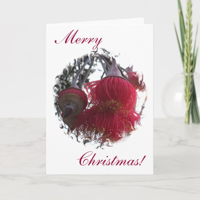 Cartão de Natal de Gum Nut (Frente)