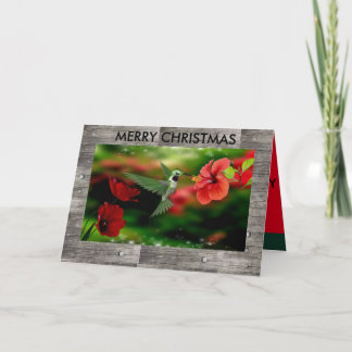 Cartão de Natal de Hummingbird