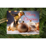 Cartão de Natal de Hummingbird<br><div class="desc">Cartão de Natal de Hummingbird criado de uma foto tirada pelas Criações de Audrey - Todas as Fotos de Hummingbird que eu uso em minhas designs são tiradas por mim em minha casa em Mason, Tn.</div>