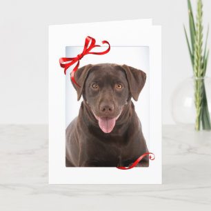 Cartão de Natal de Laboratório de Chocolate