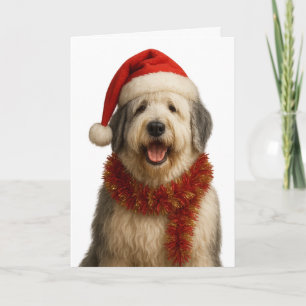 Cartão de Natal de Old English Sheepdog com chapéu