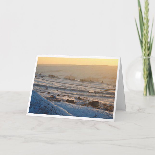 Cartão de Natal de ovelha de inverno (Frente)