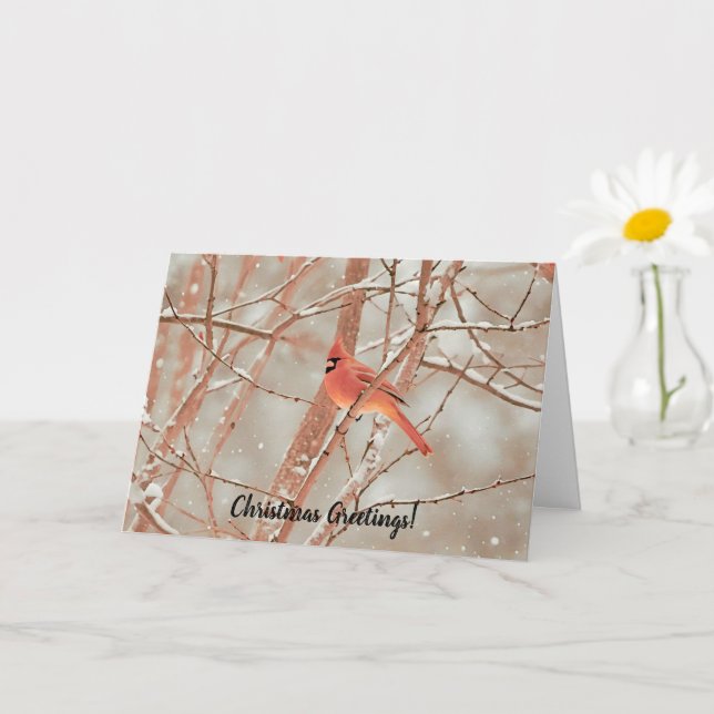 Cartão de Natal de Pássaro de Neve Vermelha Cardin (Planta pequena)