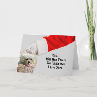 Cartão de Natal de Pet Dog e Papais noeis