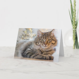 Cartão de Natal de Pet Personalizado para Cat