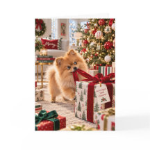 Cartão de Natal de Pomerânia Cartão de Férias de P
