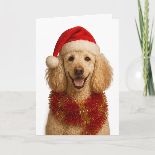 Cartão de Natal de Poodle (Frente)