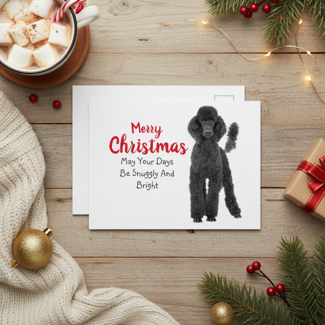 Cartão de Natal de Poodle Padrão (Standard Poodle Christmas Card)