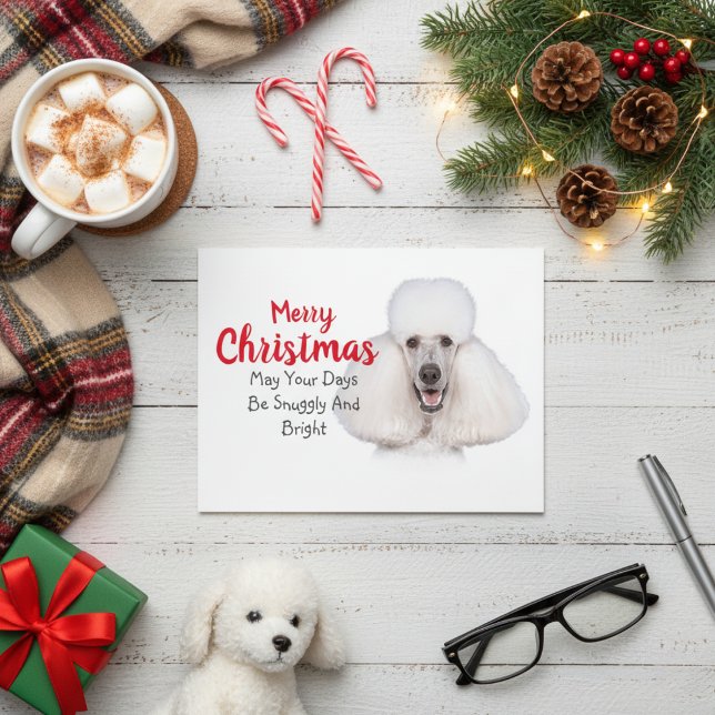 Cartão de Natal de Poodle Padrão Branco (White Standard Poodle Christmas Card)