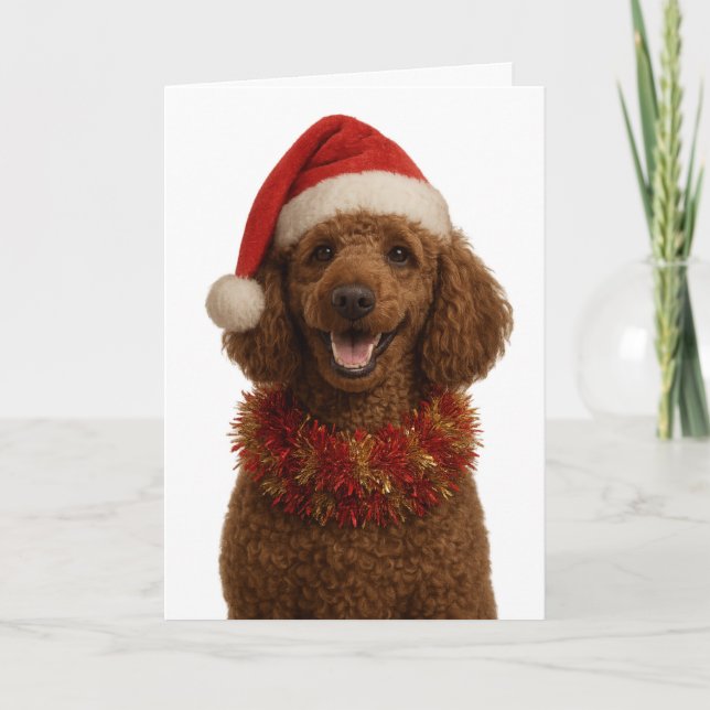 Cartão de Natal de Poodle vermelho / marrom fofo (Frente)