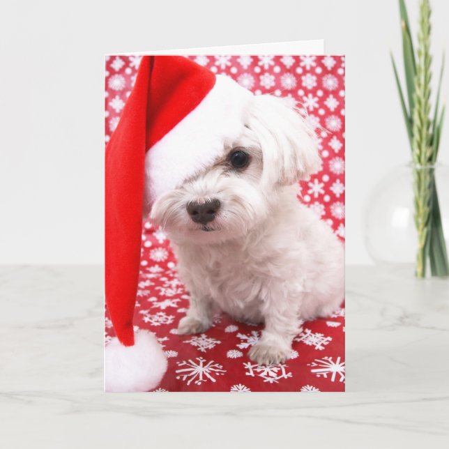 Cartão de Natal de Puppy (Frente)