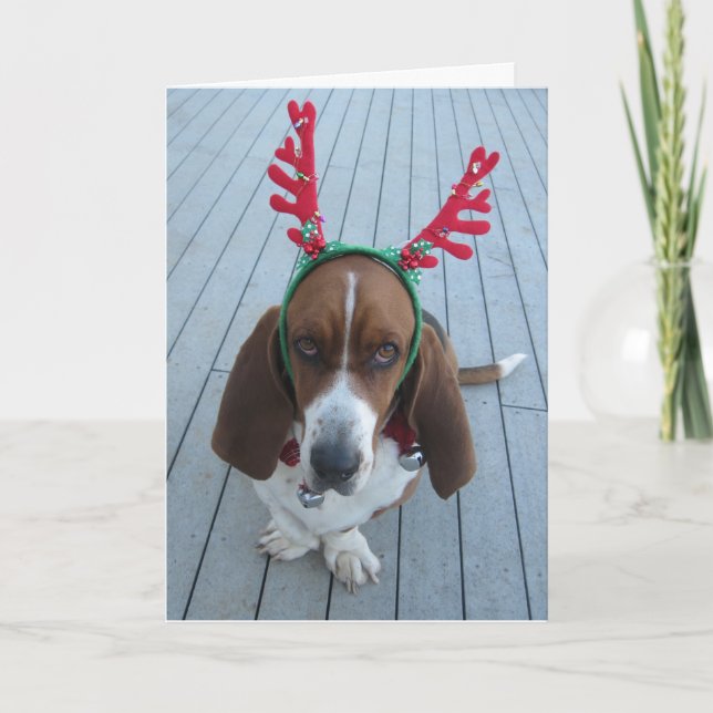 Cartão de Natal De Reitor Basset (Frente)