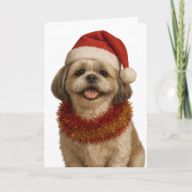 Cartão de Natal de Shih Tzu com chapéu de Papai No