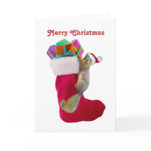 Cartão de Natal de Stocks de Esquilo