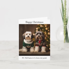 Cartão de Natal de Terriers Tibetanos