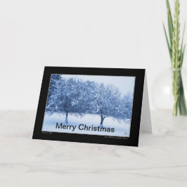 Cartão de Natal de Vidro Azul e Maçãs de Inverno