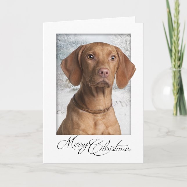 Cartão de Natal de Vizsla (Frente)