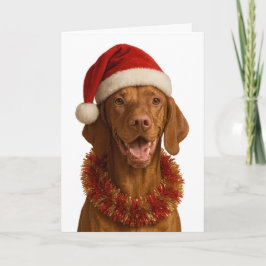 Cartão de Natal de Vizsla com chapéu de Papai Noel