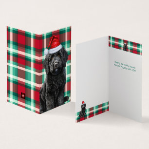 Cartão de Natal de Xadrez de Férias Labradoodle