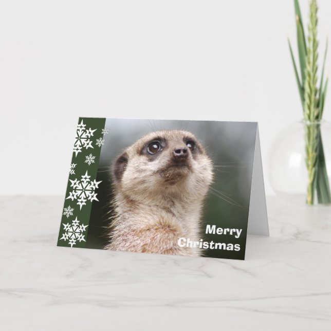 Cartão de Natal do Alert Meerkat (Frente)