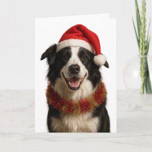 Cartão de Natal do Border Collie preto e branco