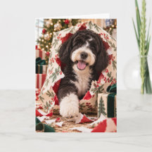 Cartão de Natal do Cão de Água Português