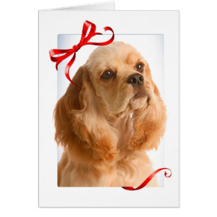 Cartão de Natal do Cocker Spaniel