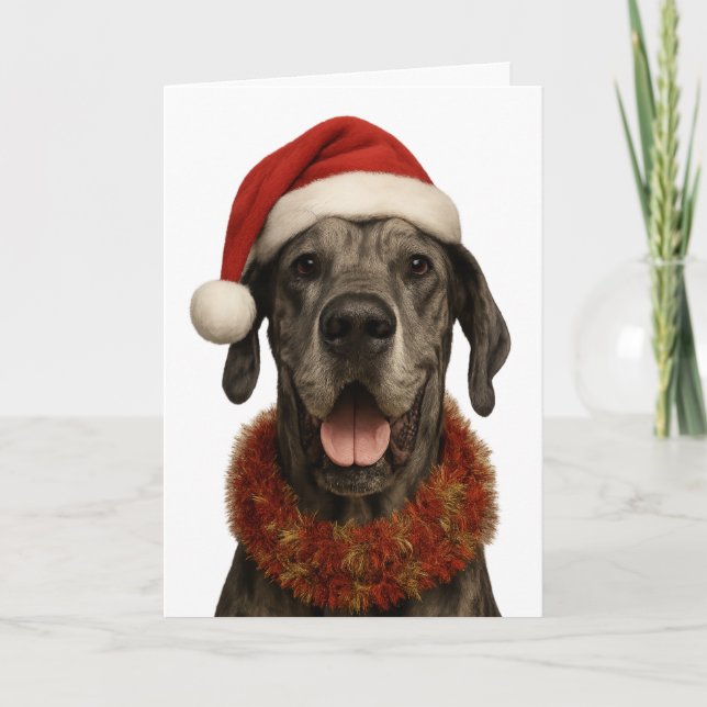 Cartão de Natal do Dogue Alemão com chapéu de Papa (Frente)