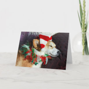 Cartão de Natal do Elfo Corgi Adormecido