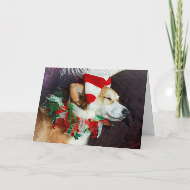 Cartão de Natal do Elfo Corgi Adormecido (Frente)