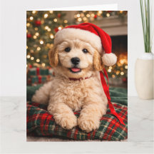Cartão de Natal do Golden Doodle