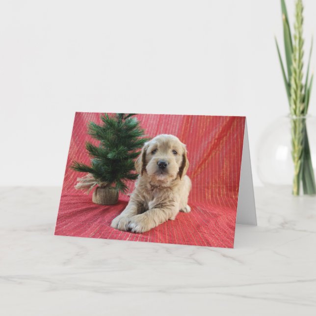 Cartão de Natal do Goldendoodle (Frente)