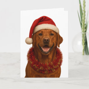 Cartão de Natal do Labrador Retriever vermelho rap