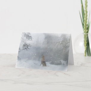 Cartão de Natal do lobo boas festas