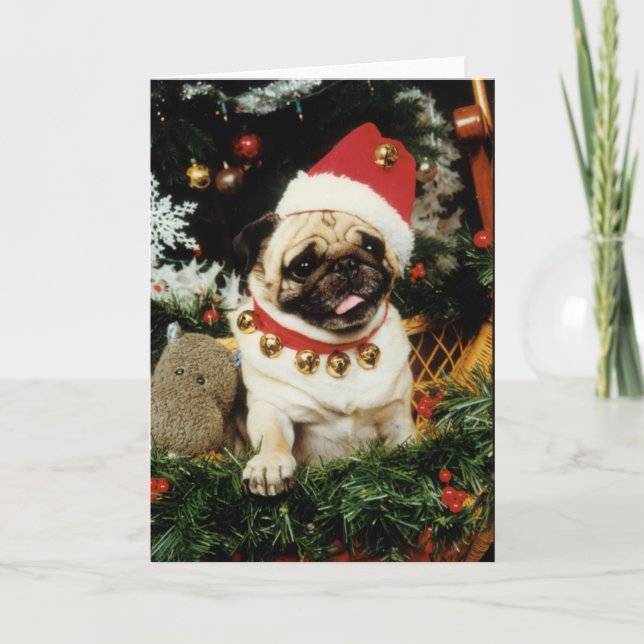 Cartão de Natal do papai noel do cão do Pug (Frente)