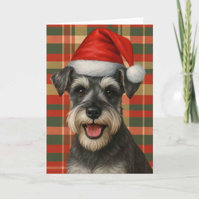 Cartão de Natal do Plaid Miniature Schnauzer (Frente)