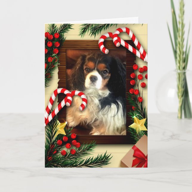 Cartão de Natal do Rei Charles Spaniel - Cute (Frente)