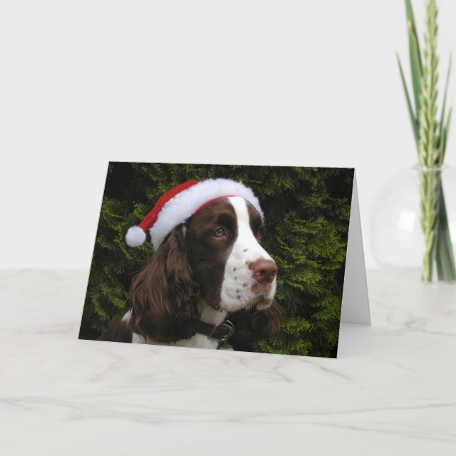 Cartão de Natal do Spaniel de Springer do Natal (Frente)