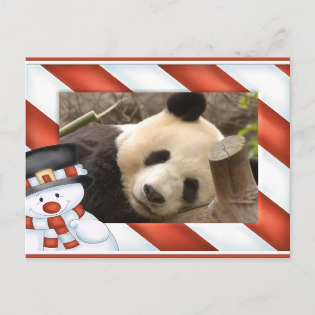 Cartão de Natal do urso de panda gigante & da (Frente)