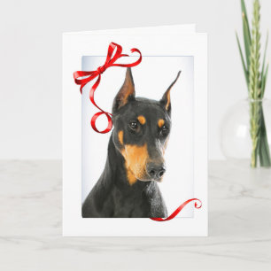 Cartão de Natal Doberman