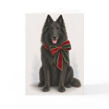 Cartão de Natal Elegante do Cão de Pastor Belga