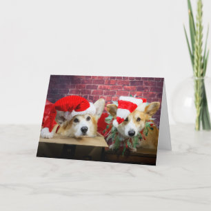 Cartão de Natal Elf Corgi