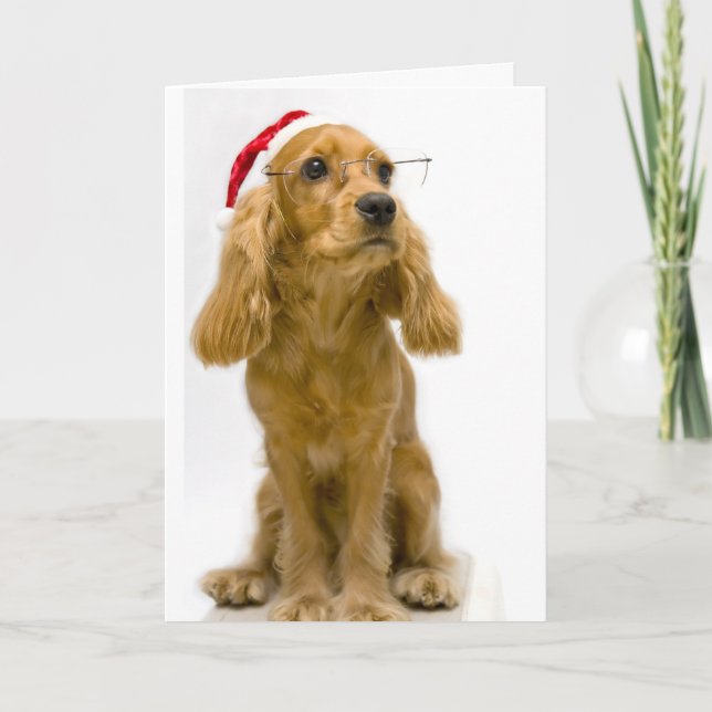 Cartão de Natal Engraçado (Frente)