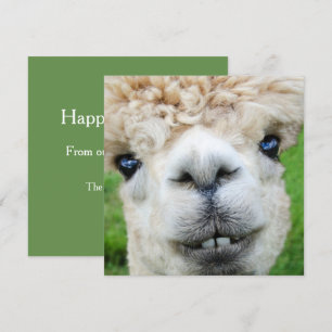 Cartão de Natal engraçado da alpaca