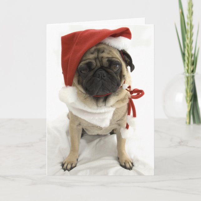 Cartão de Natal Engraçado - Puggy (Frente)