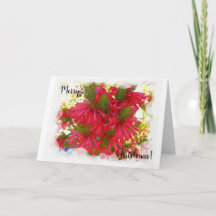 Cartão de Natal - Erica Flowers