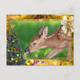 Cartão de Natal Fawn (cervo branco)