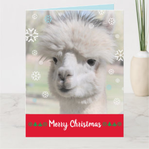 Cartão de Natal Feliz para a Neve Alpaca
