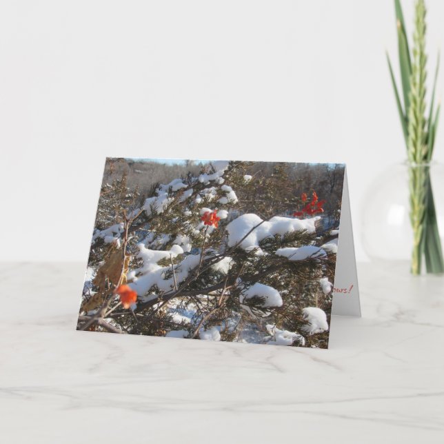 Cartão de Natal "Flores de Inverno" (Frente)