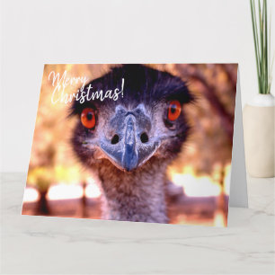 Cartão de Natal Gigante Australiano EMU